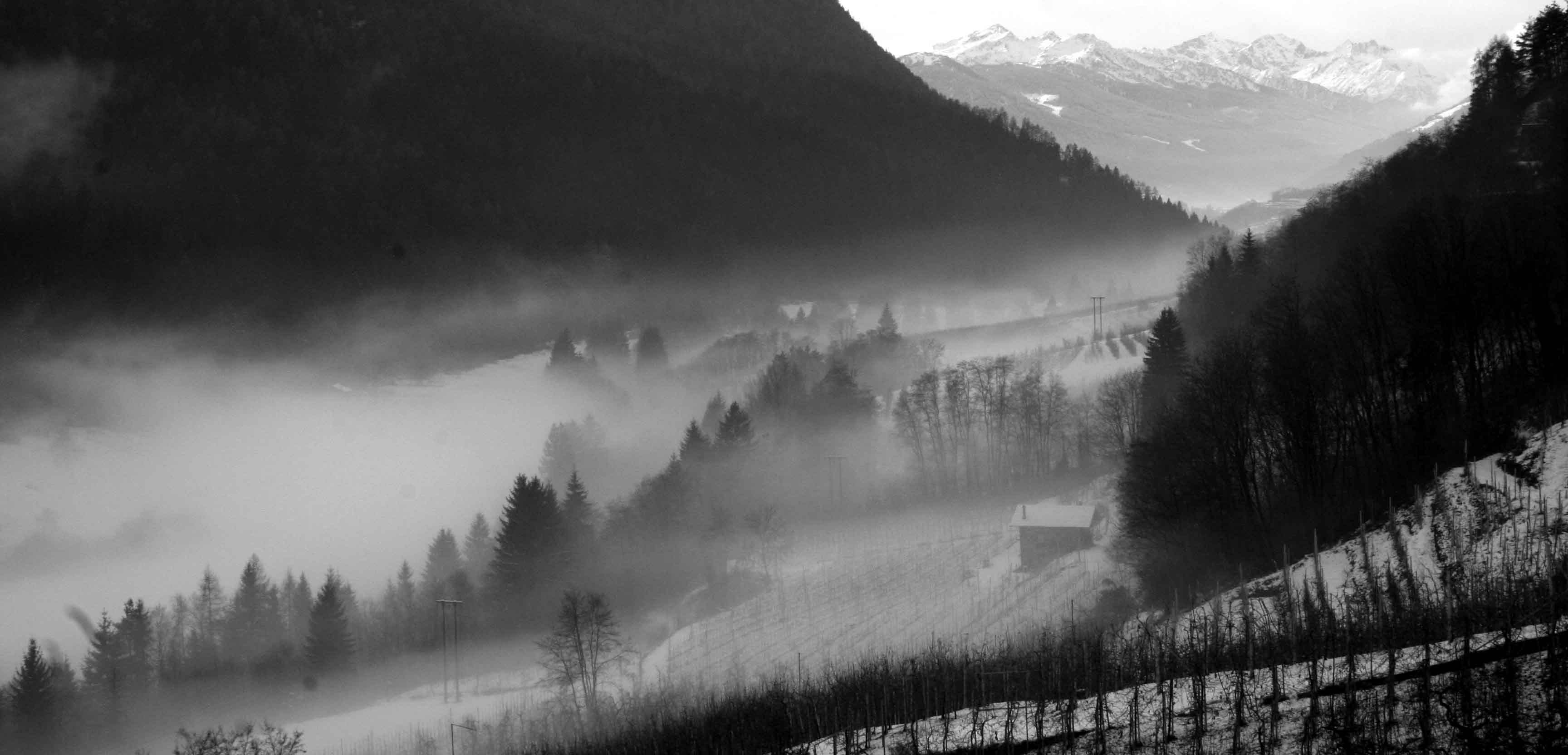 Val-di-sole-nebbia-rid